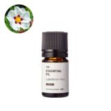 000000004673.jpg?t=20251118042546