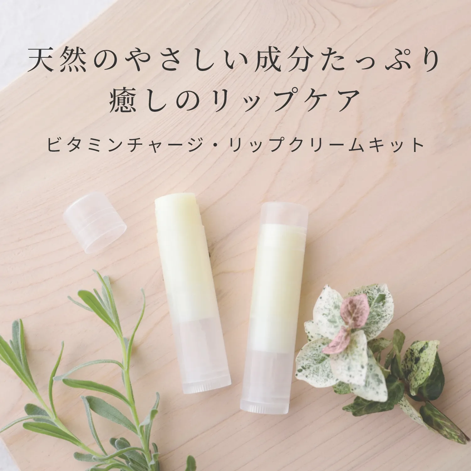 メール便0円 ビタミンチャージ リップクリームキット 1個 手作り化粧品材料 マンデイムーン
