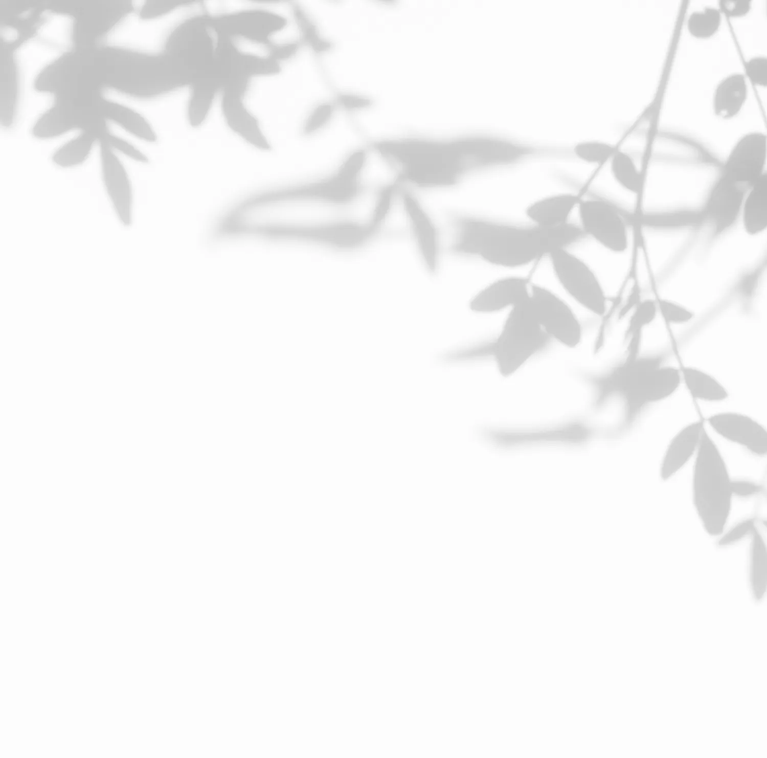 背景
