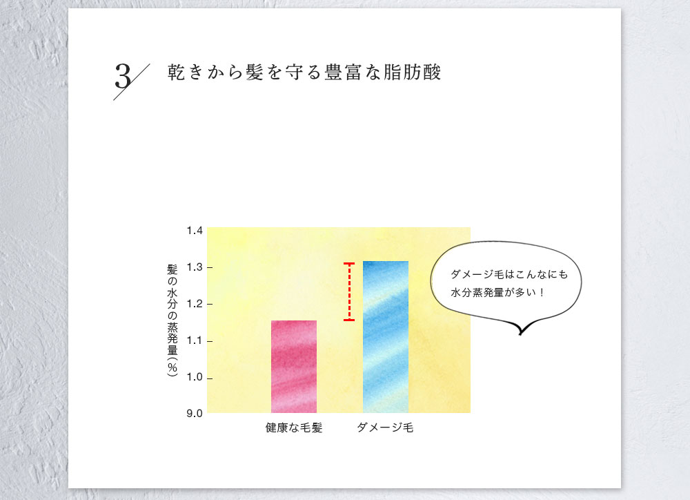 秘密3