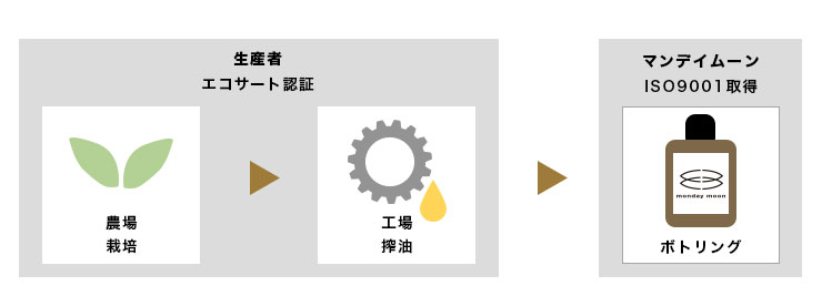 ウチワサボテンオイル・未精製・オーガニック／50ml | 手作り化粧品材料 マンデイムーン