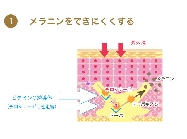 ビタミンc誘導体 水溶性 g 手作り化粧品材料 マンデイムーン