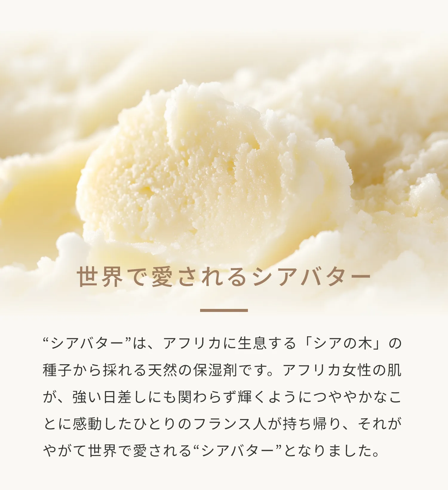 “シアバター”は、アフリカに生息する「シアの木」の種子から採れる天然の保湿剤