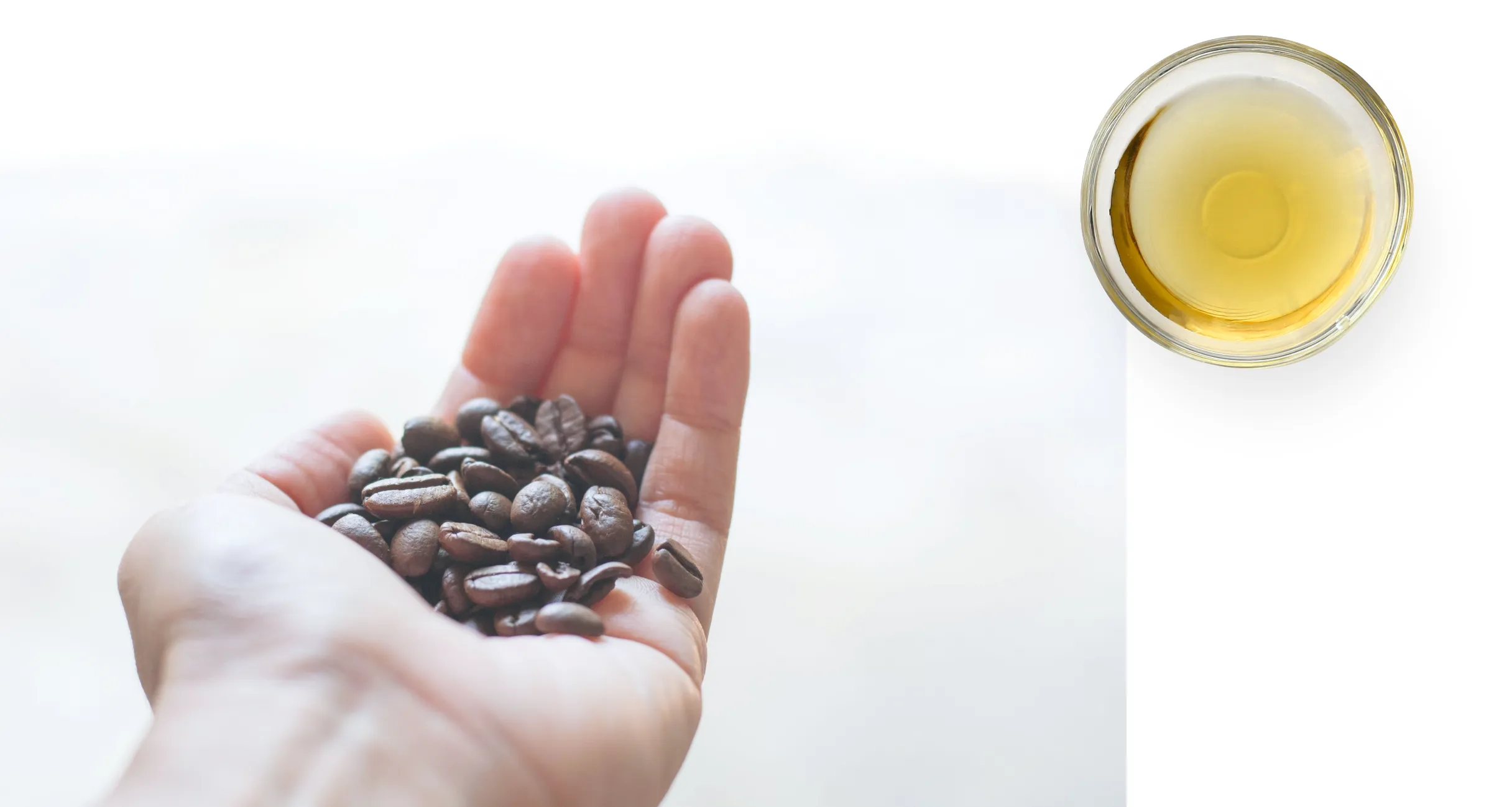 コーヒー豆 低温圧搾 マッサージオイル
