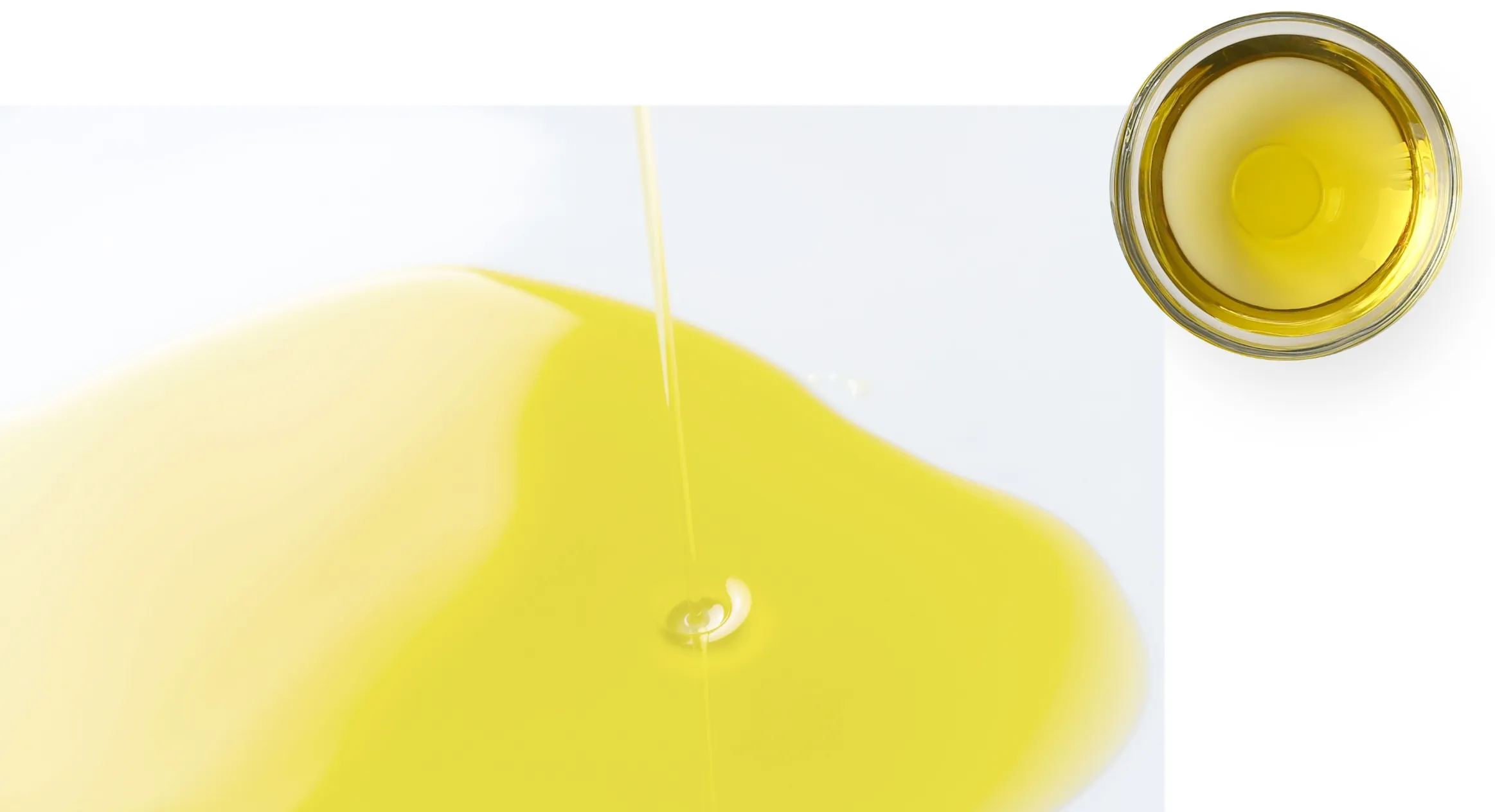 高い栄養価のブラジル産カカイナッツから抽出されたオイル