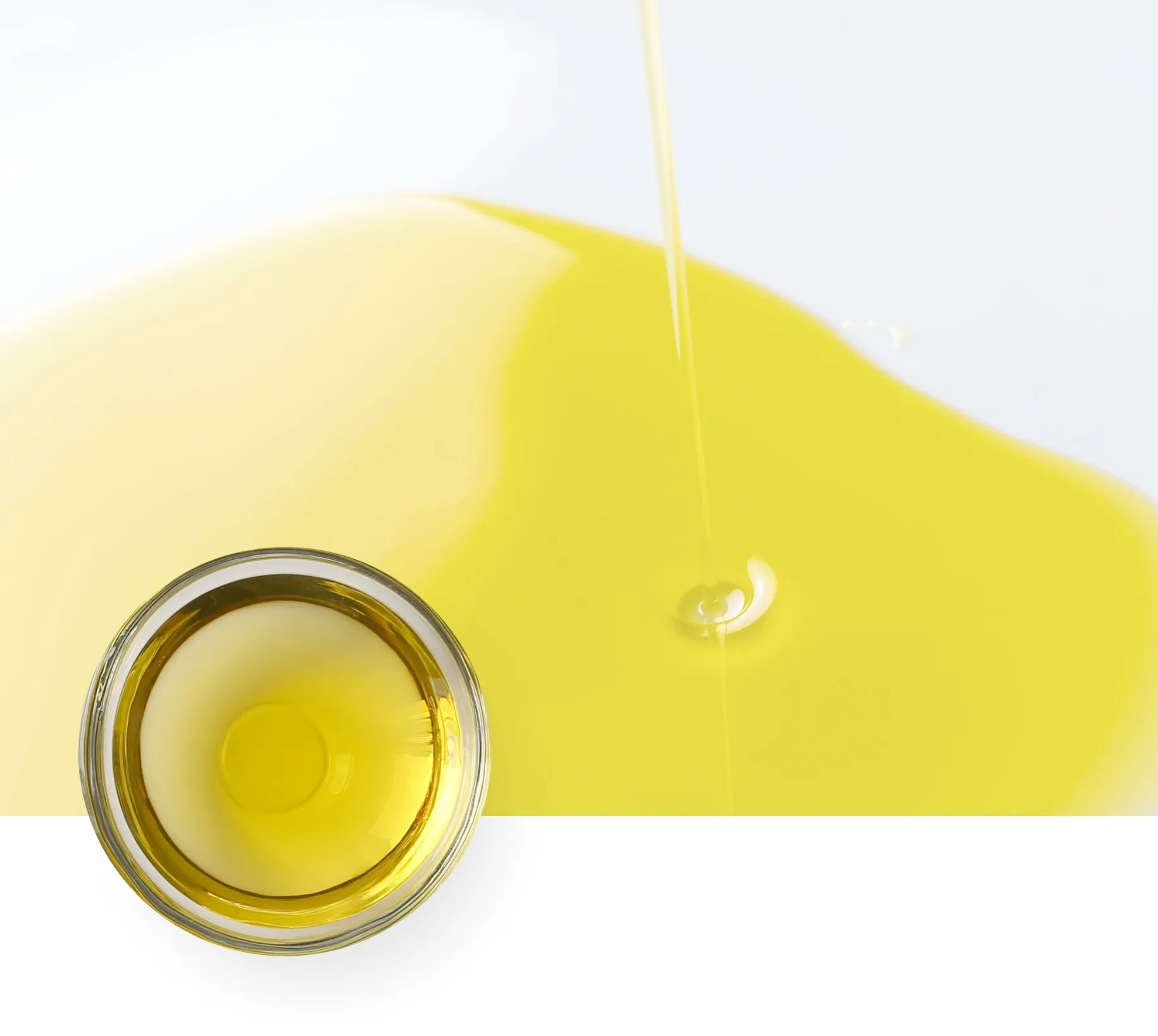 高い栄養価のブラジル産カカイナッツから抽出されたオイル