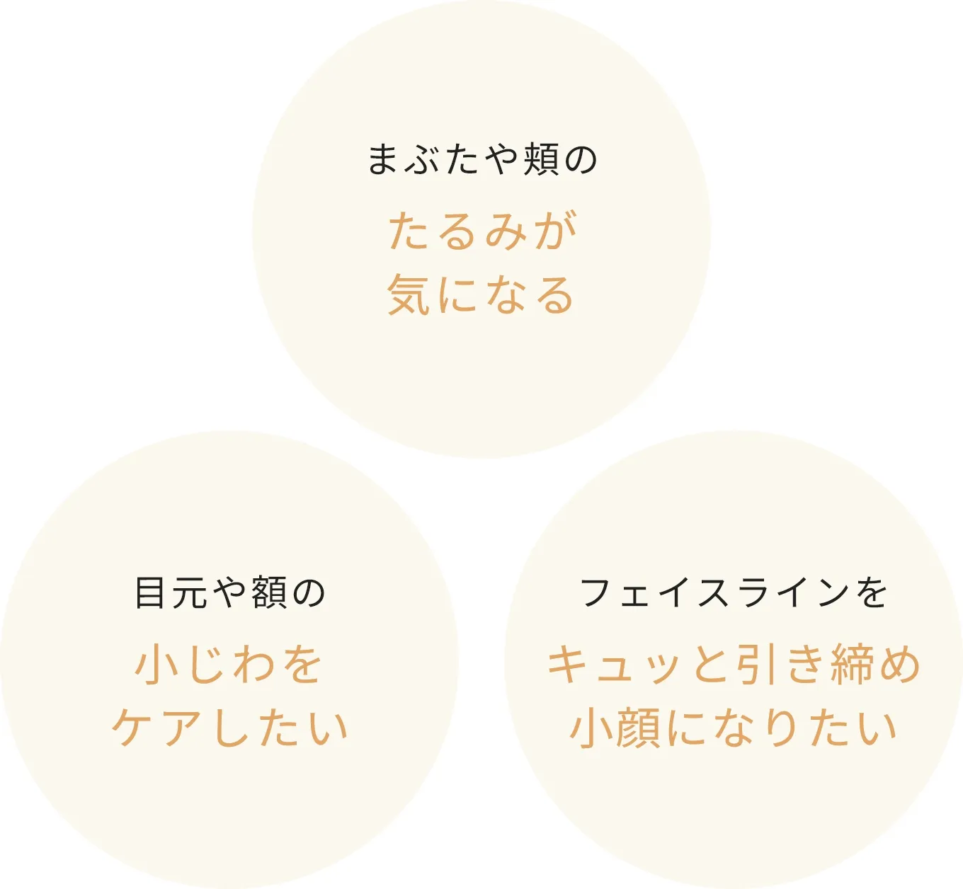 たるみ 小じわ 引き締め 小顔