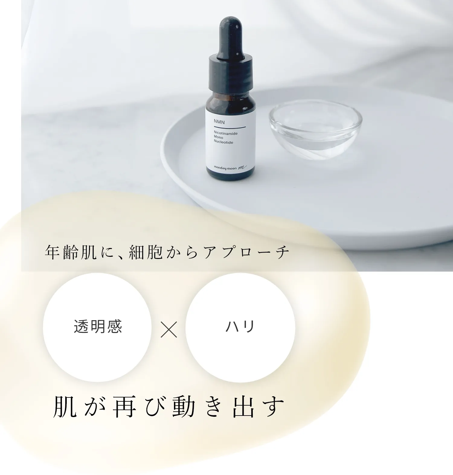 年齢肌に、細胞からアプローチ