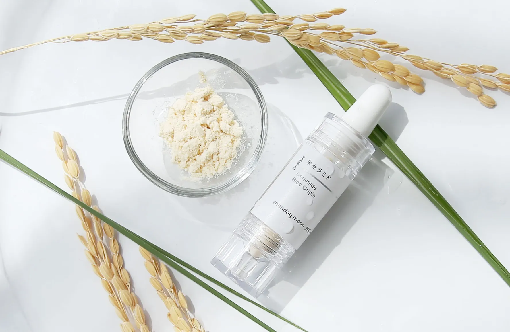 米セラミド お米由来