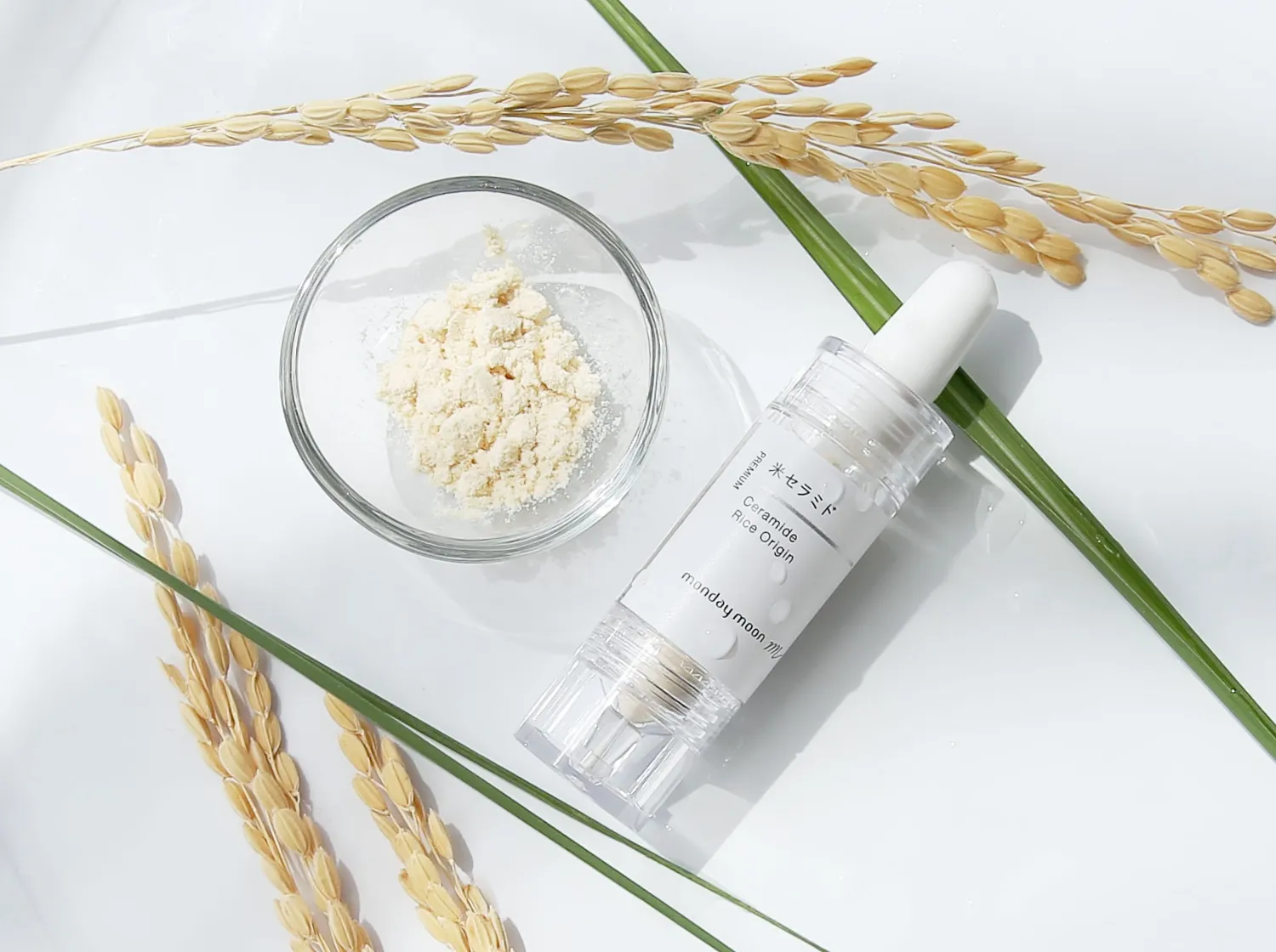 米セラミド お米由来