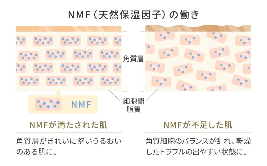 しわ、たるみをケア