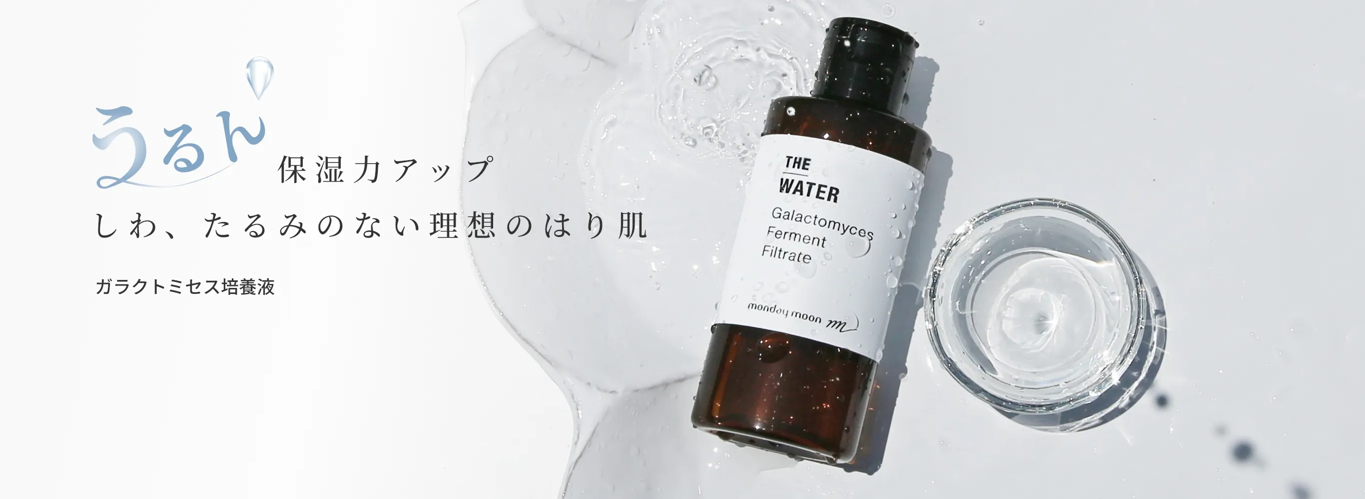 ガラクトミセス培養液 しわ、たるみのない理想のはり肌 保湿力