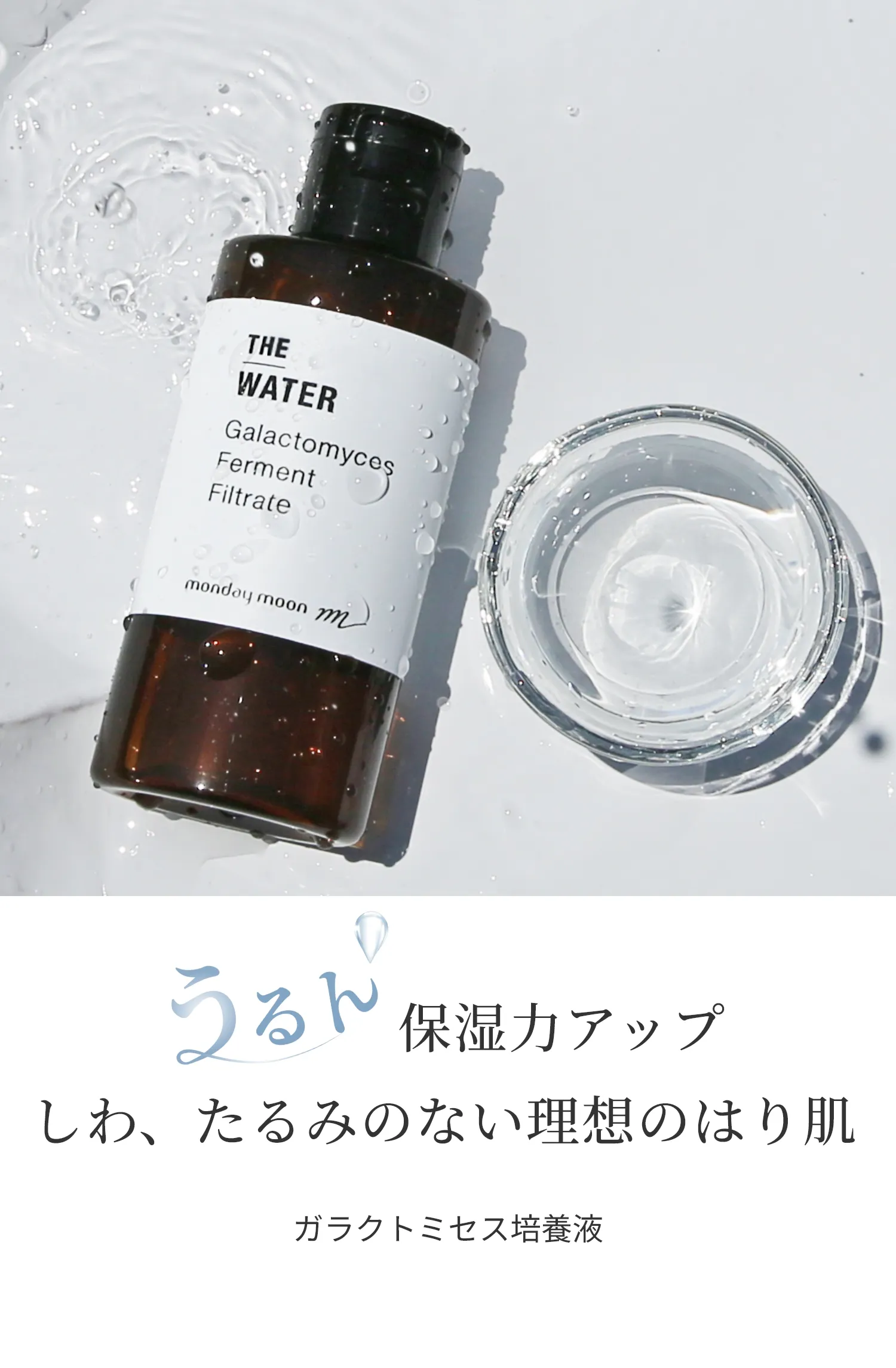 ガラクトミセス培養液 しわ、たるみのない理想のはり肌 保湿力