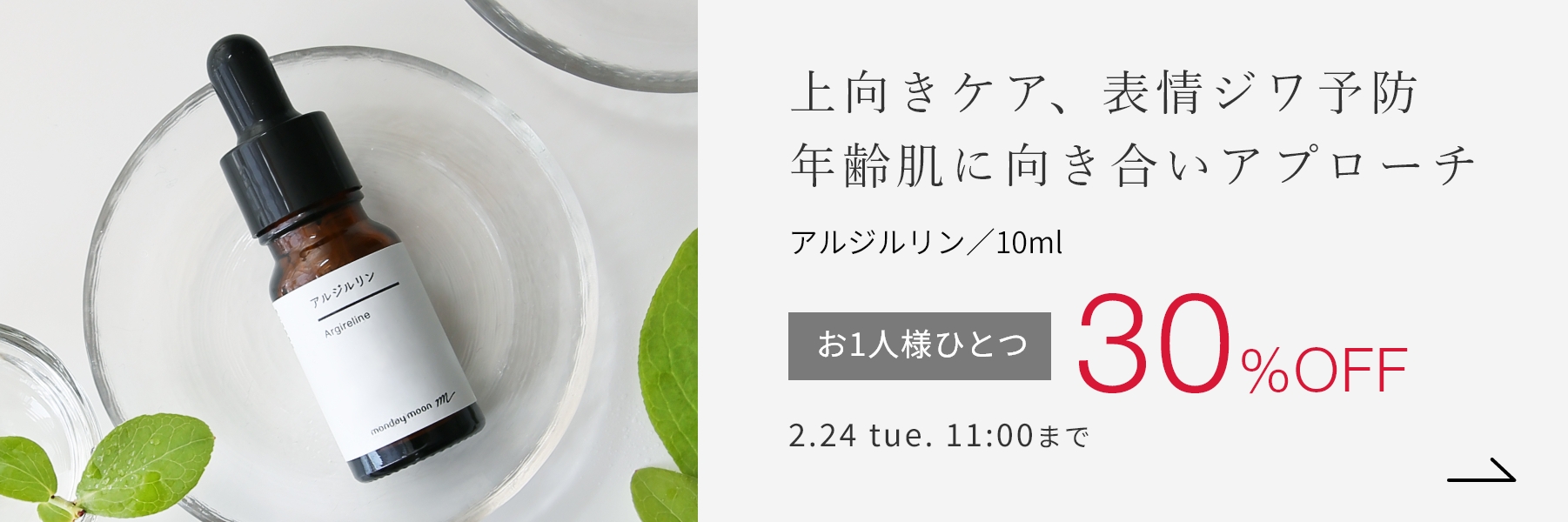 アルジルリン／10ml