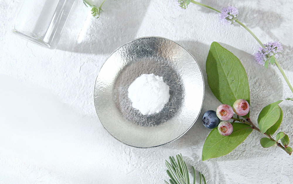 α-アルブチン／2g