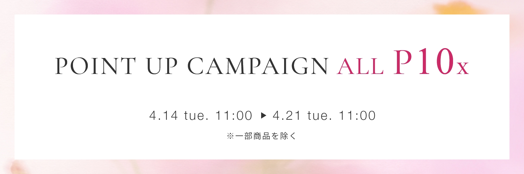 CAMPAIGN