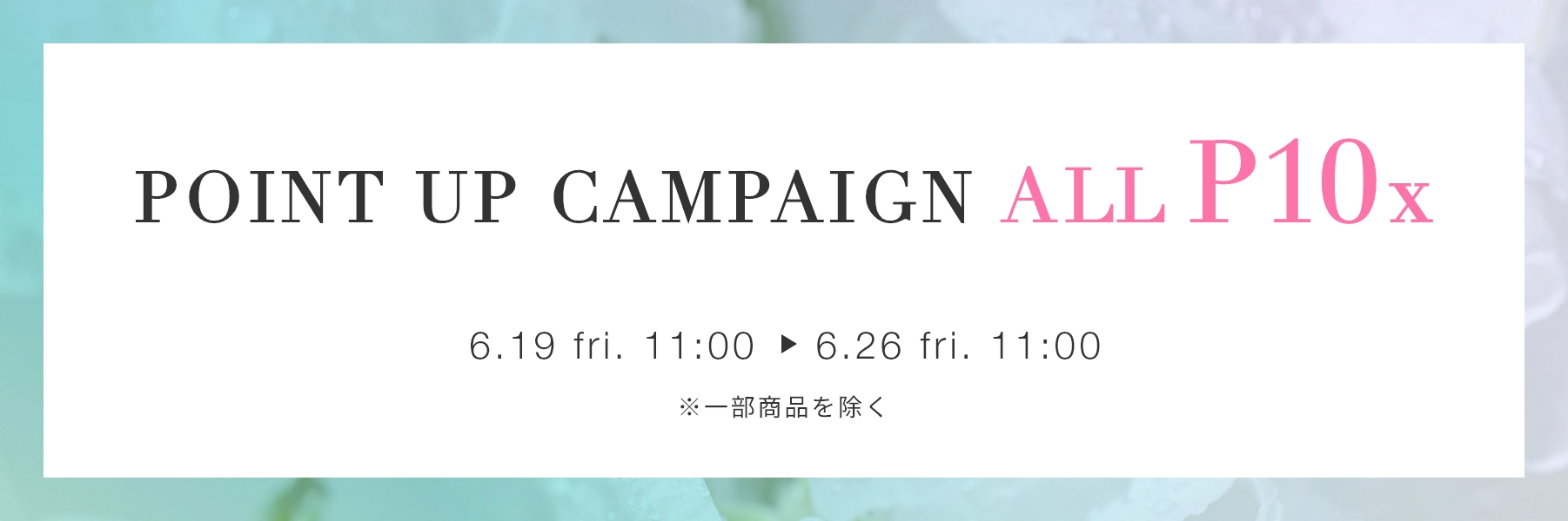 CAMPAIGN