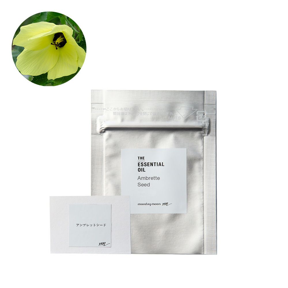 000000012441-01-l.jpg?t=