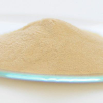 カラギーナン（イオタ型）／20g
