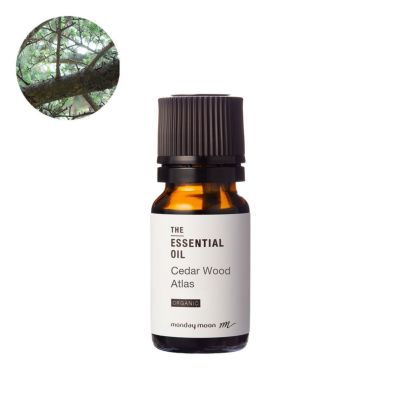【P10倍】シダーウッドアトラス・エッセンシャルオイル・オーガニック／10ml（有機栽培・Organic）