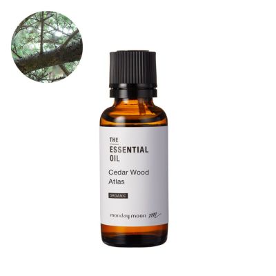 シダーウッドアトラス・エッセンシャルオイル・オーガニック／30ml（有機栽培・Organic）