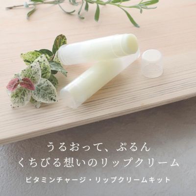 【P10倍】ビタミンチャージ・リップクリームキット／1個