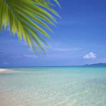 メロナール・アイソレート（天然単離香料）／30ml 特典付きで メロナール・アイソレート（天然単離香料）／30ml 特典付きで