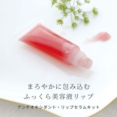 【P10倍】ビタミンC誘導体高濃度配合 アンチオキシダント・リップセラム 手づくりコスメキット／1個