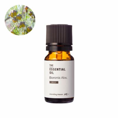 【P10倍】ボロニア・アブソリュート・野生種／10ml