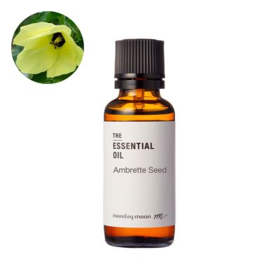 【P10倍】アンブレットシード・エッセンシャルオイル（ムスクシード）／30ml