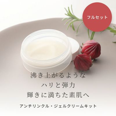 ナイアシンアミド高濃度配合 アンチリンクル・ジェルクリーム フルセット 手づくりコスメキット／1個