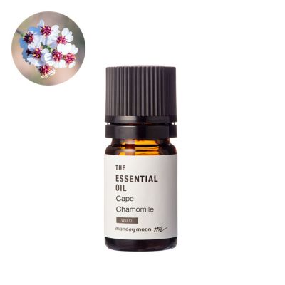 【P10倍】ケープカモミール・エッセンシャルオイル・野生種／5ml
