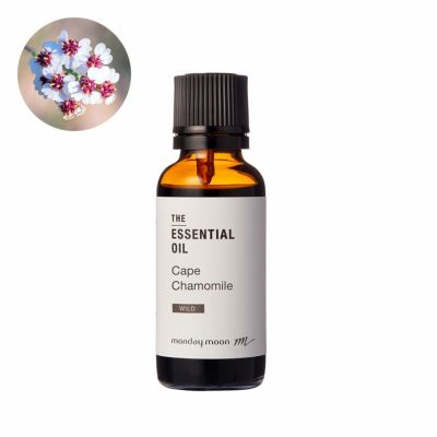 【P10倍】ケープカモミール・エッセンシャルオイル・野生種／30ml
