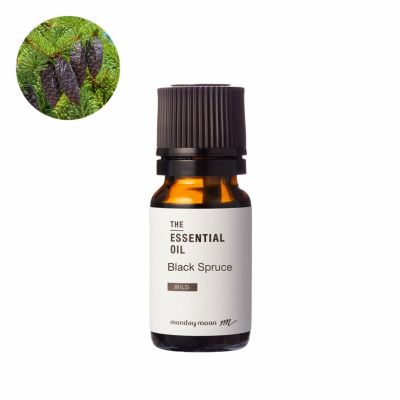 【P10倍】ブラックスプルース・エッセンシャルオイル・野生種／10ml