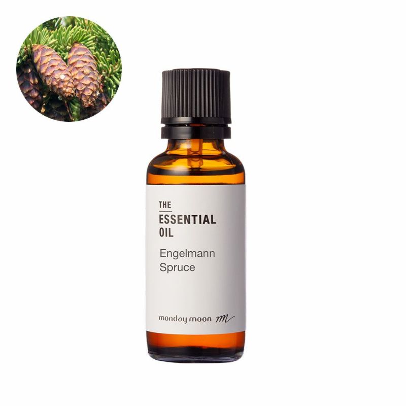 000000016086-01-l.jpg?t=