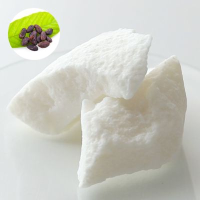 【P10倍】カカオバター・精製・オーガニック(ブロック)／50g（クリア・有機栽培・Refined・Organic）