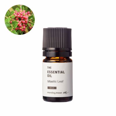 マスティックリーフ・エッセンシャルオイル・野生種／5ml
