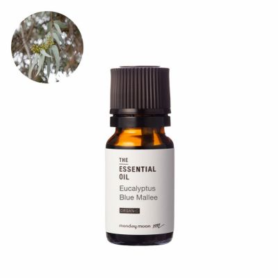 ユーカリブルーマリー・エッセンシャルオイル・オーガニック／10ml（有機栽培・Organic） | 手作り化粧品材料 マンデイムーン