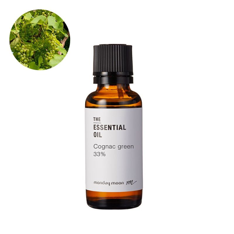 000000016259-01-l.jpg?t=