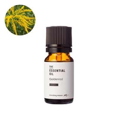 【P10倍】ゴールデンロッド・エッセンシャルオイル・オーガニック／10ml（・有機栽培・・Organic）