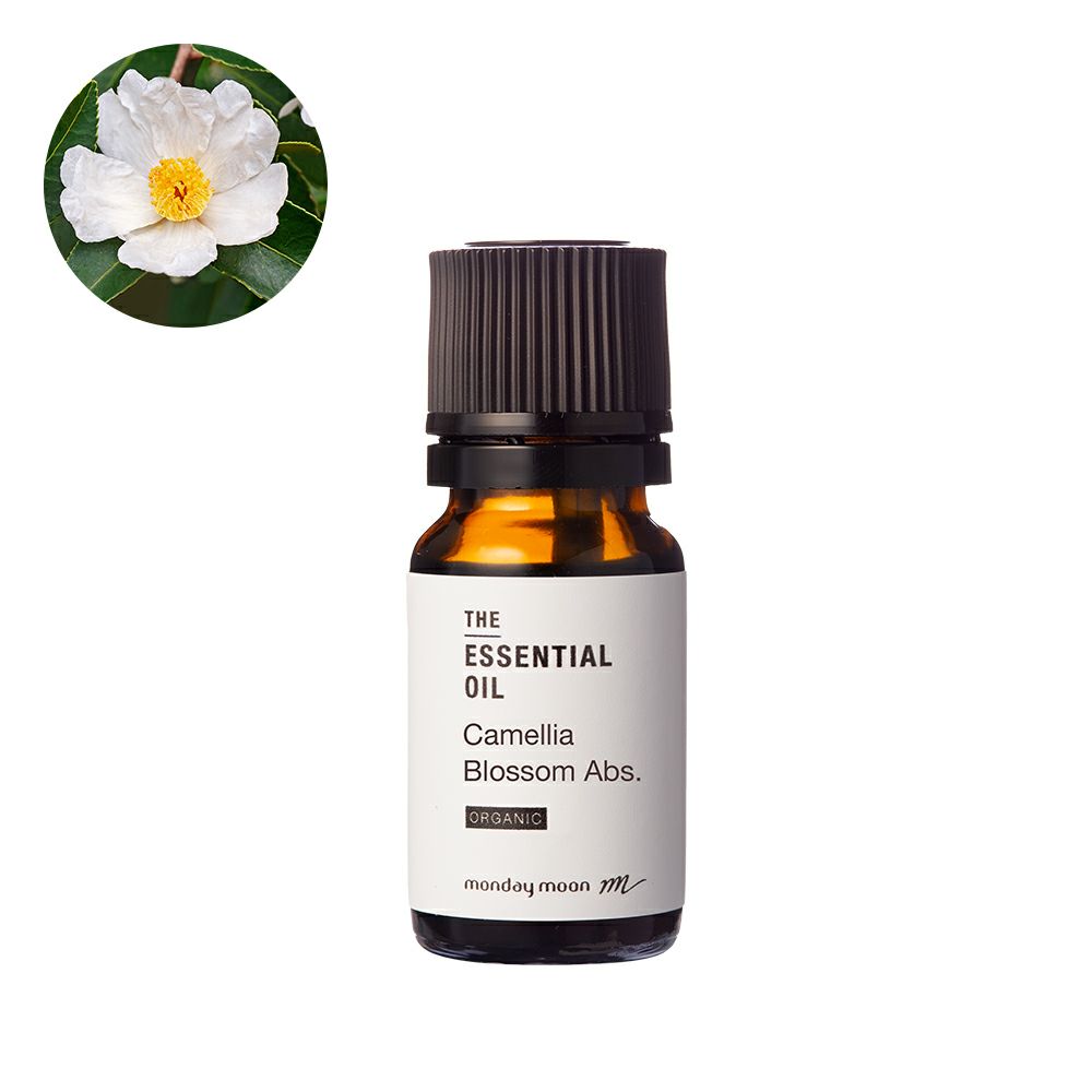 000000016815-01-l.jpg?t=